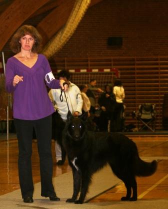 Jatoba black Rex of Vanessa